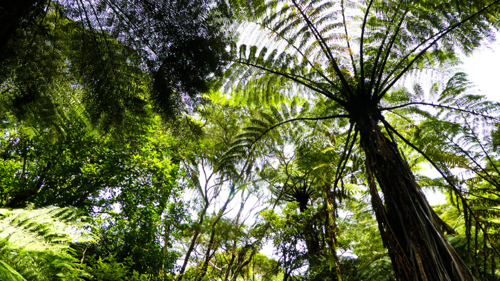 Abel Tasman nouvelle zélande