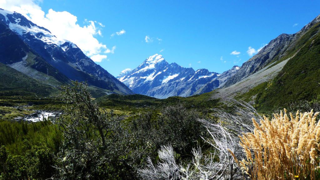 Mont Cook nouvelle zélande