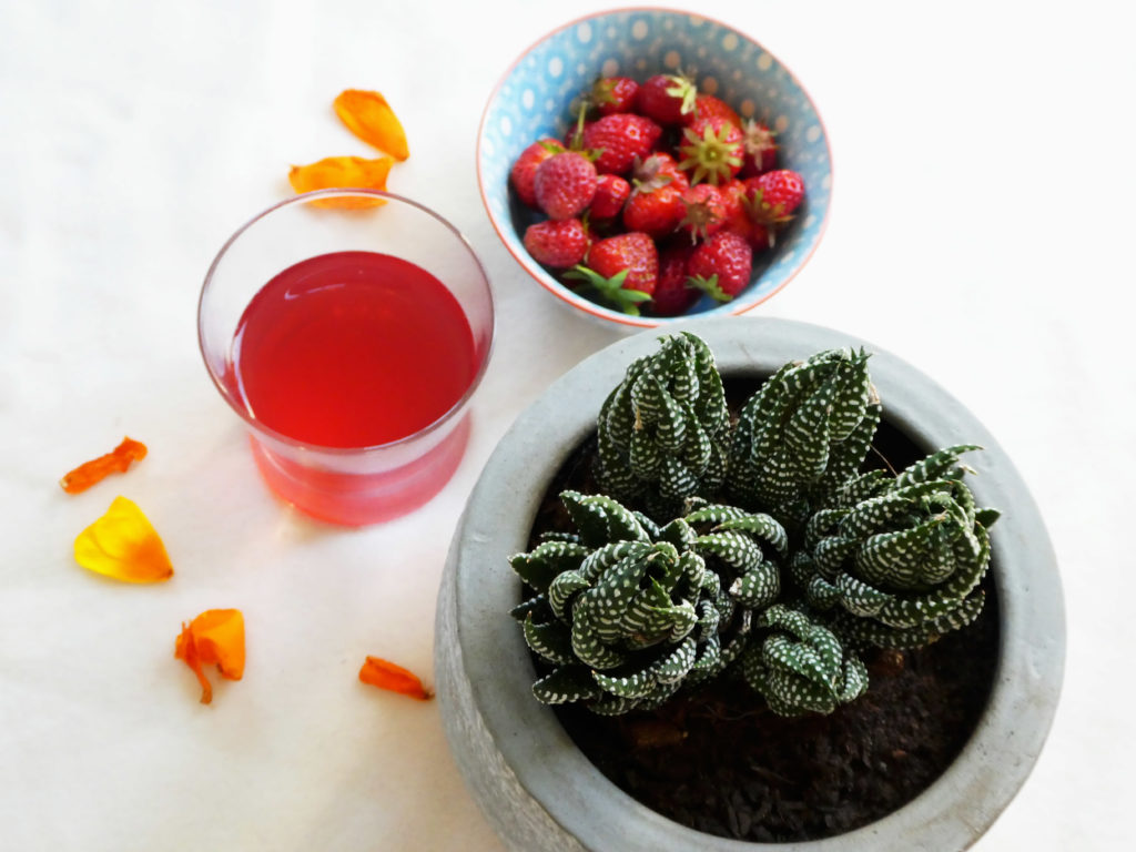 jus de cramberry fraises succulente