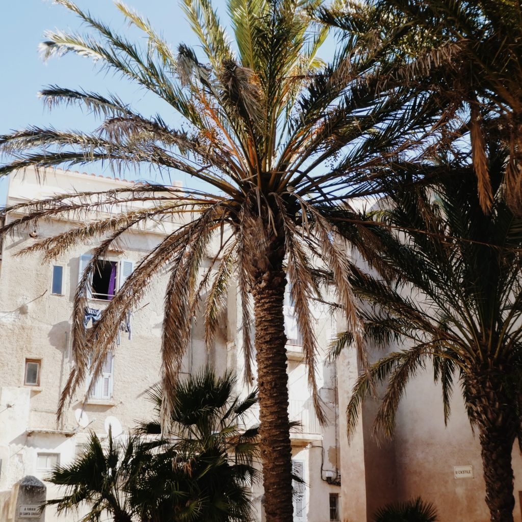 semaine en corse