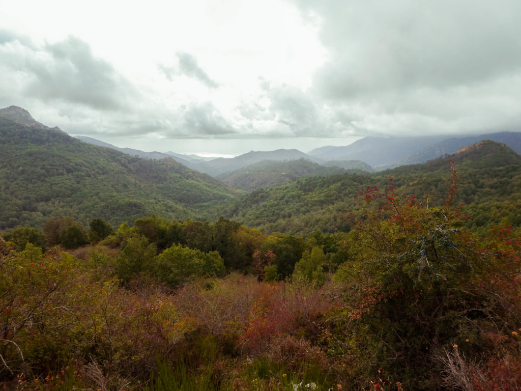 semaine en corse